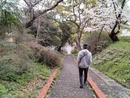 ふくきた｜才気道 家元