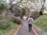 ふくきた｜才気道 家元